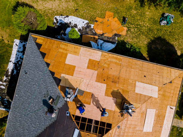 Roof Waterproofing Services in Trezevant, TN