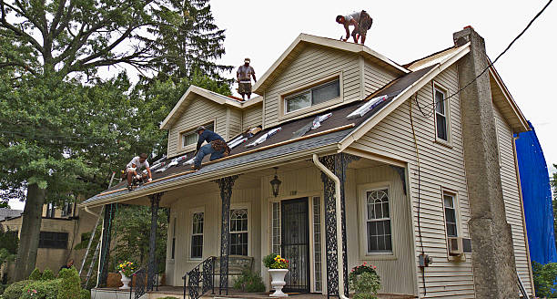 Best Storm Damage Roof Repair  in Trezevant, TN