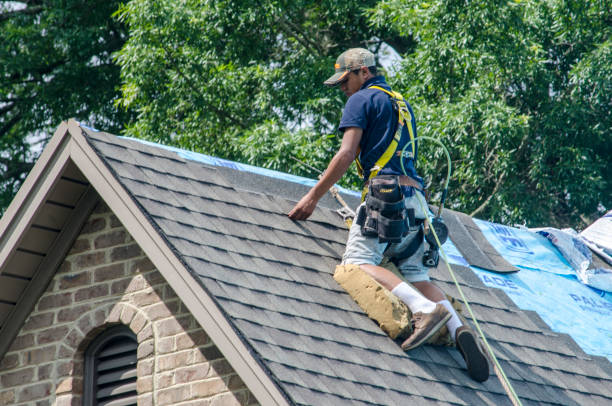 Best Commercial Roofing Services  in Trezevant, TN